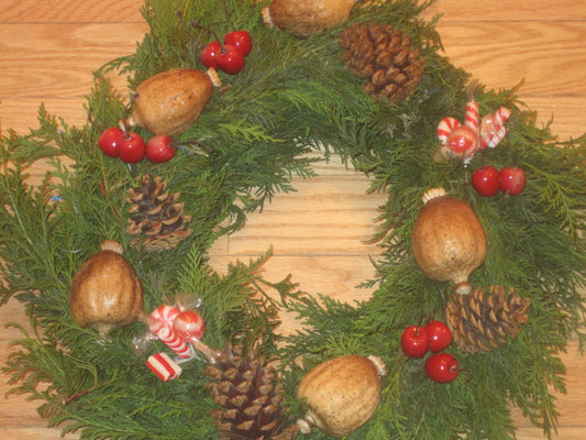 Swing into Spring & Save On Our Bulk Southern Dried Floral